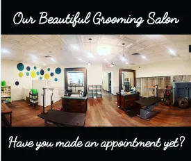 Book a pet grooming appointment