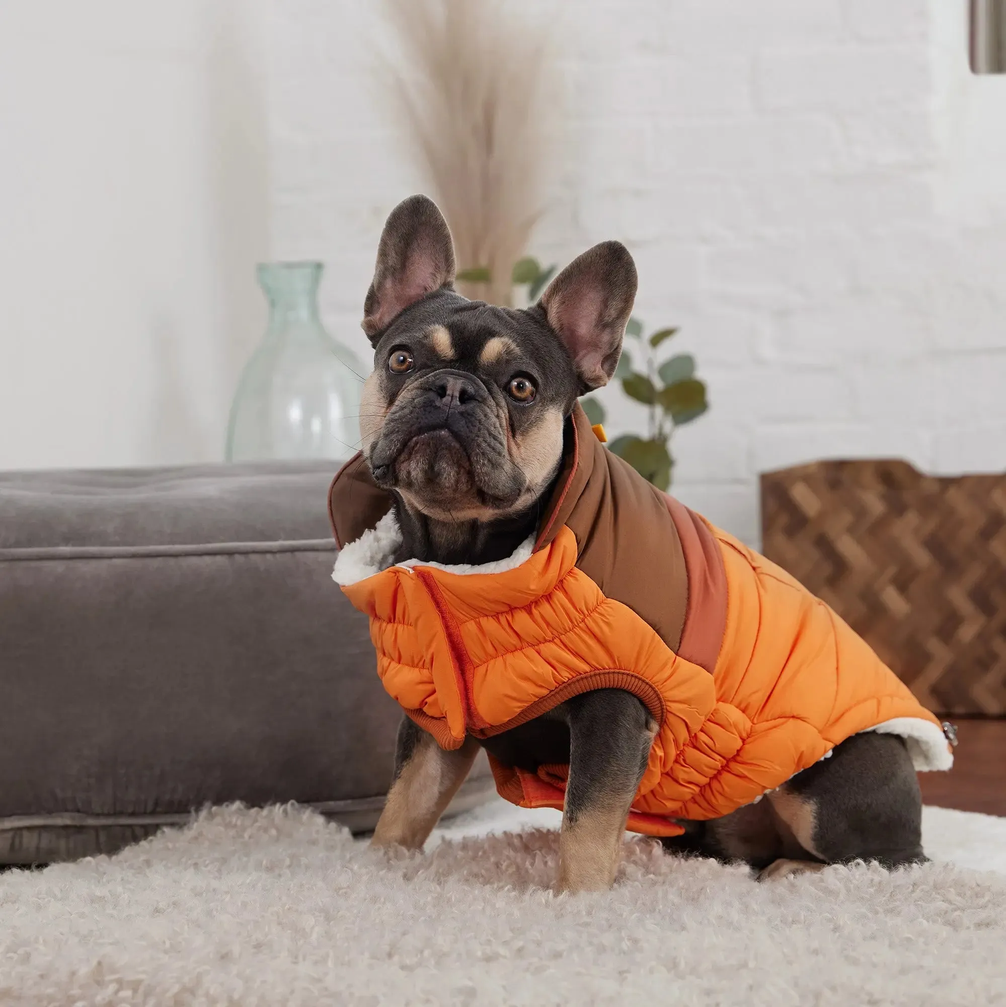 Camplife Dog Puffer | Orange