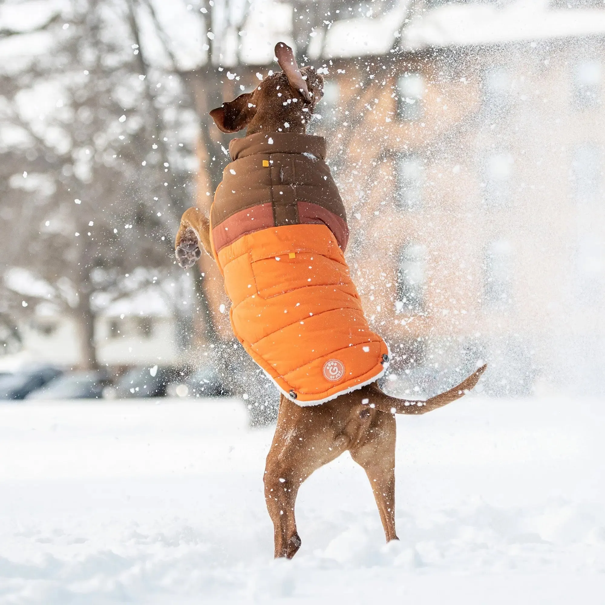 Camplife Dog Puffer | Orange