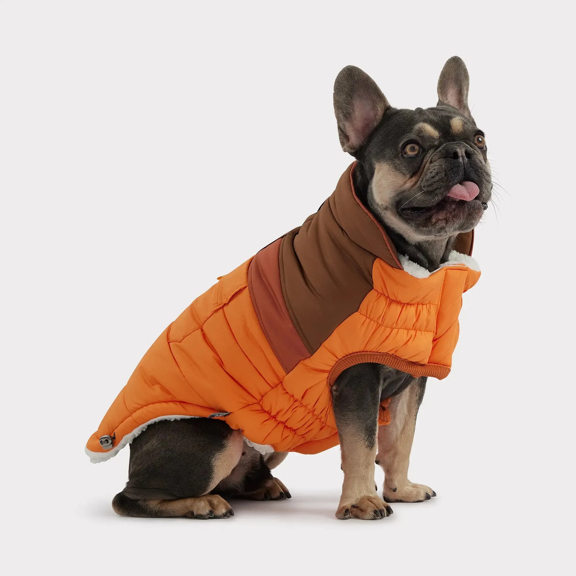 Camplife Dog Puffer | Orange