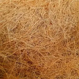 Extracted natural coir fiber