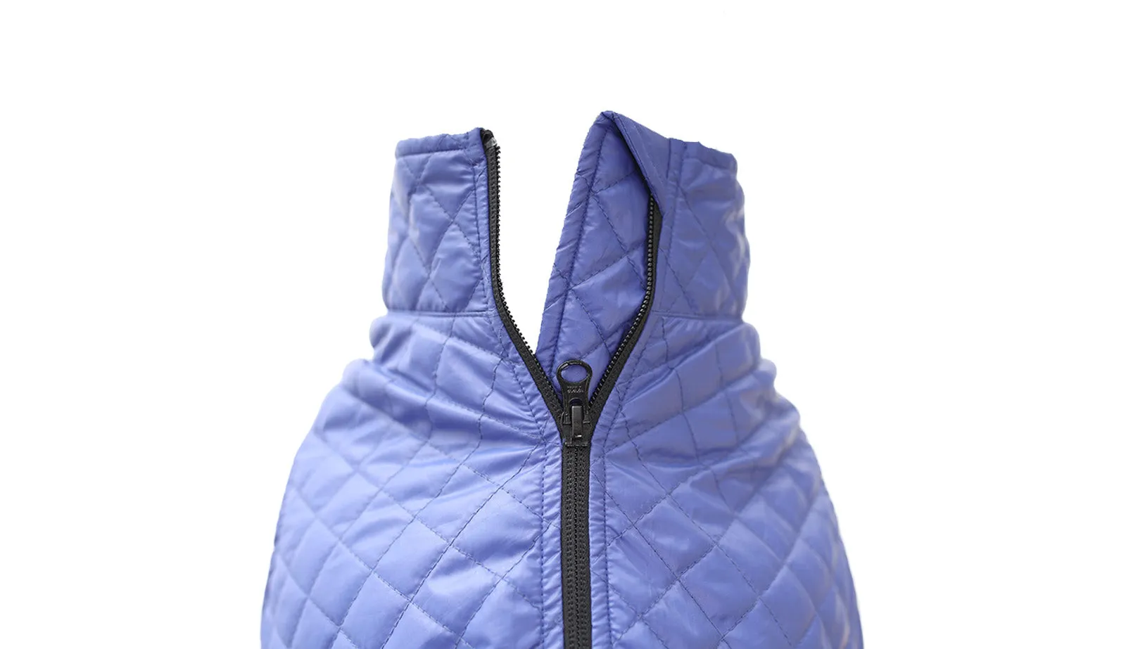 Royal Blue Dog Quilted Jacket