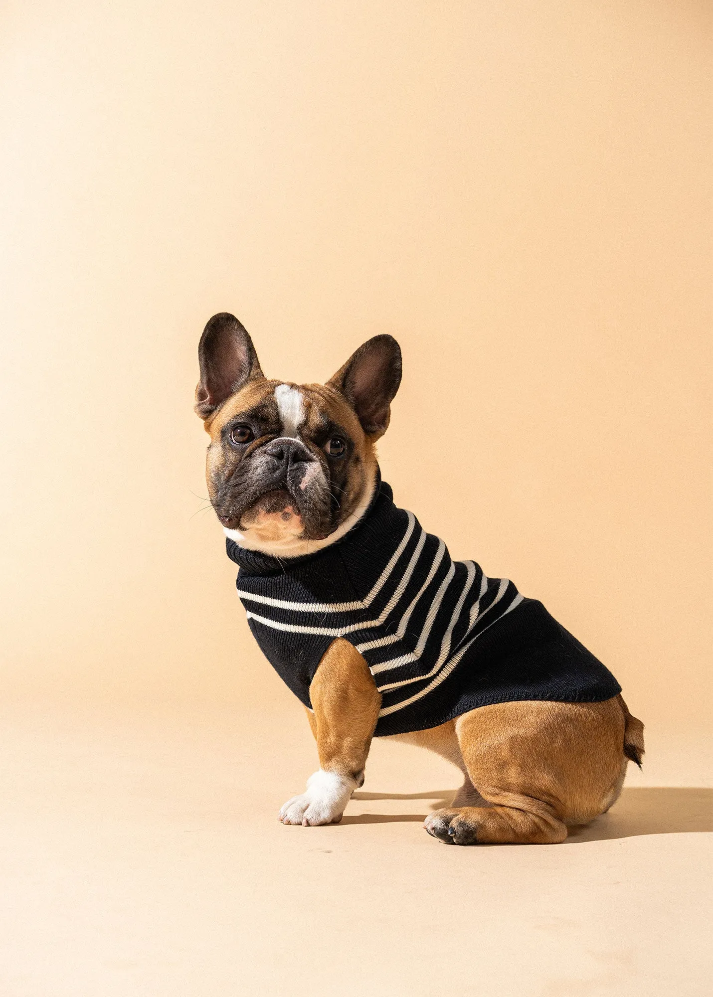 The Toutoupull SAINT JAMES - pup jumper (NAVY/ECUME)